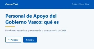 Personal de Apoyo del Gobierno Vasco: qué es. 117 plazas, Grupo E